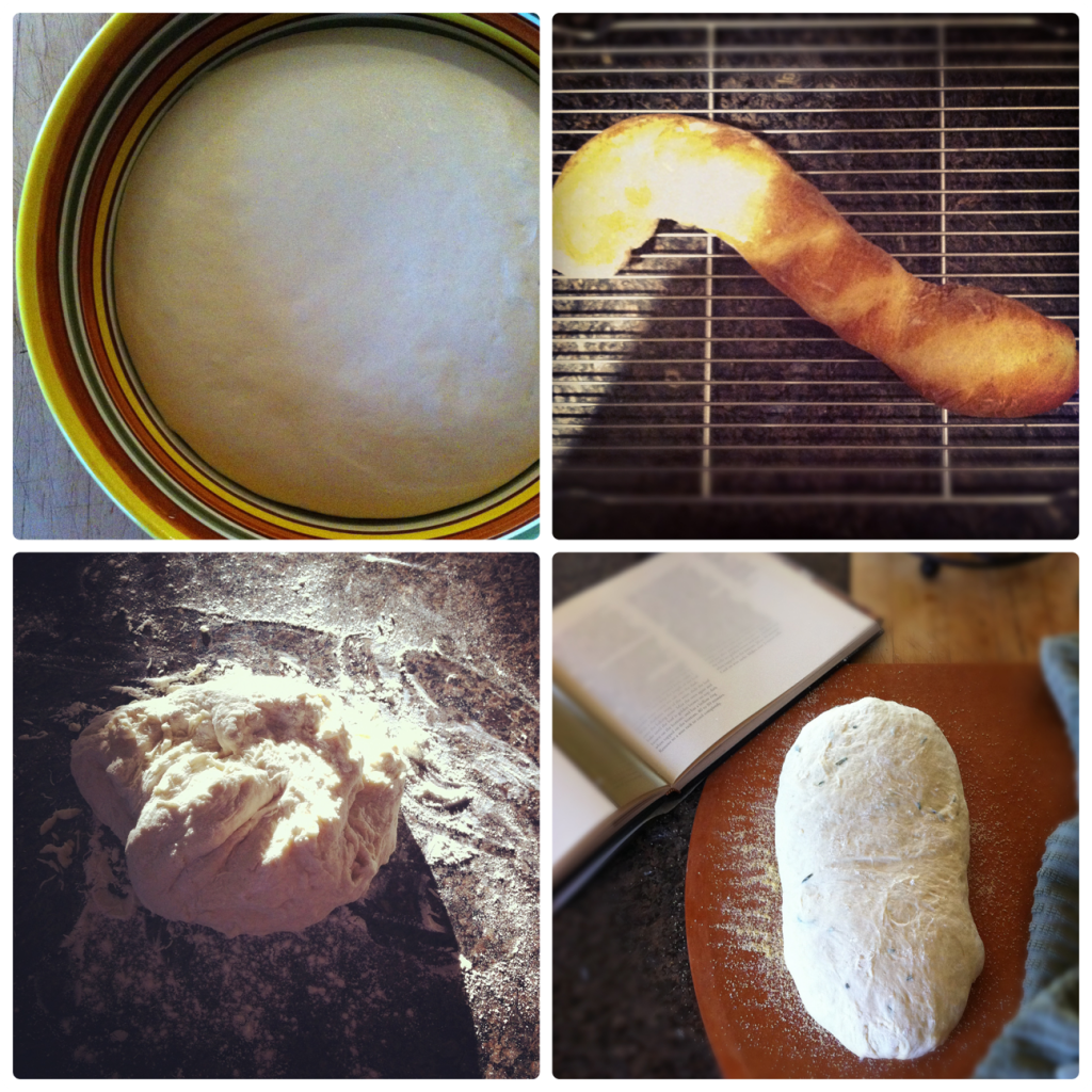 The dough does come together; my first attempt at sfilatino (Italian baguette) using  a too-small baking stone; the rosemary loaf before baking; kneading dough