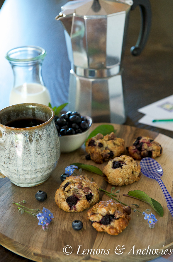 Blueberry Chocolate Oat Cookies