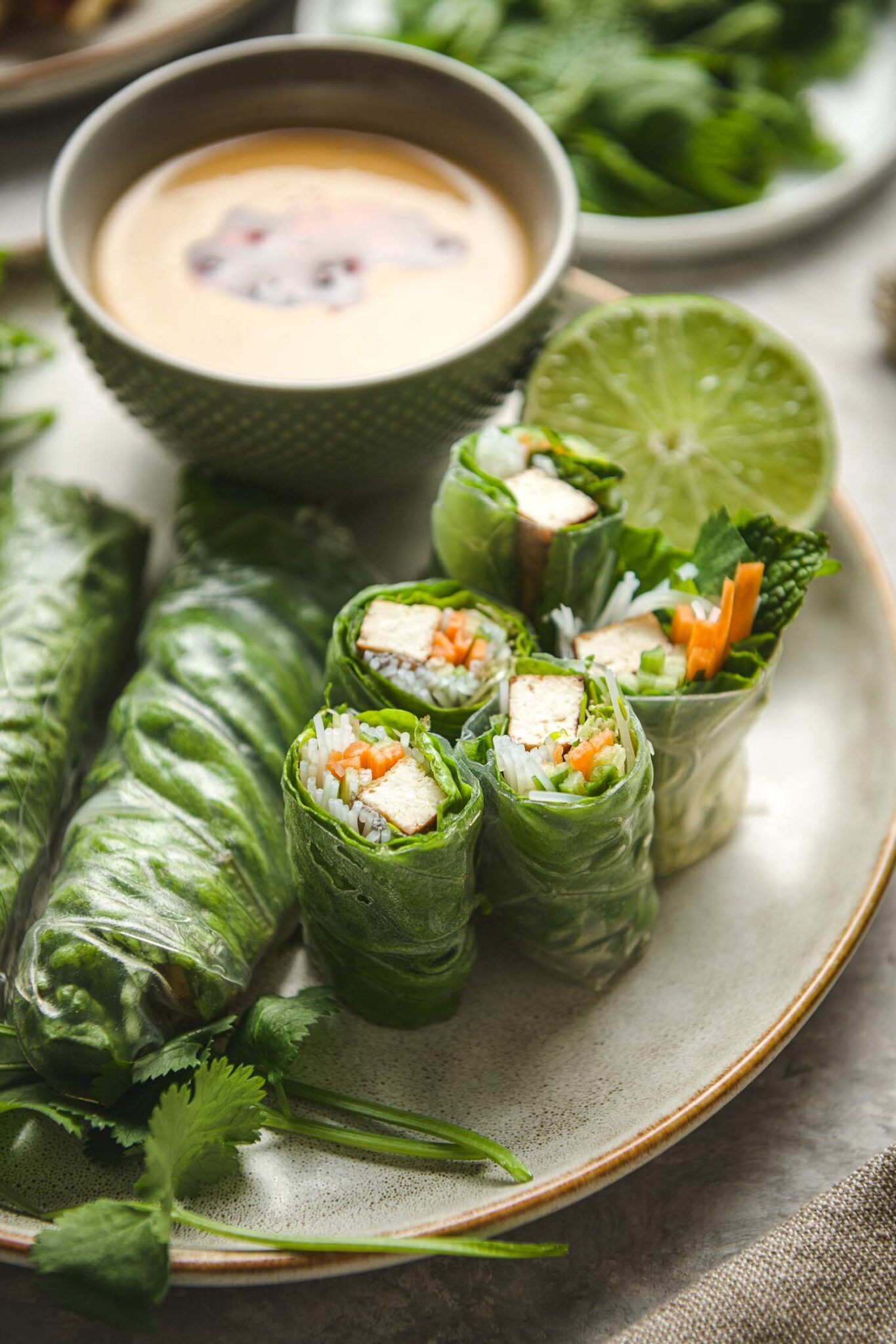 Tofu Spring Rolls with Peanut Dipping Sauce Lemons + Anchovies